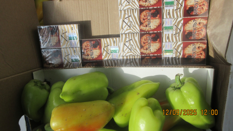 Kastē zaļa paprika; blakus cigarešu paciņas 
