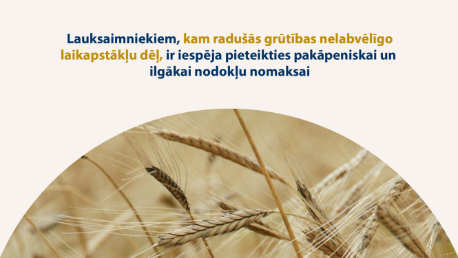 Attēls ar graudiem un teksts