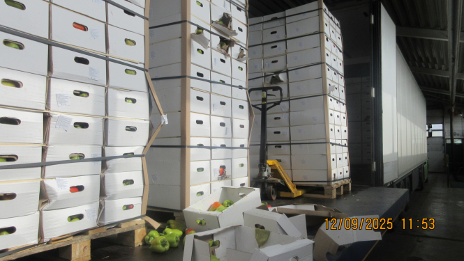 Uz paletēm saliktas daudz baltas kartona kastes ar papriku