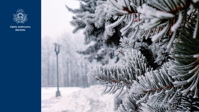 Āpsnidzis egles zars