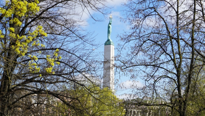 Skats uz Brīvības pieminekli caur kokiem 