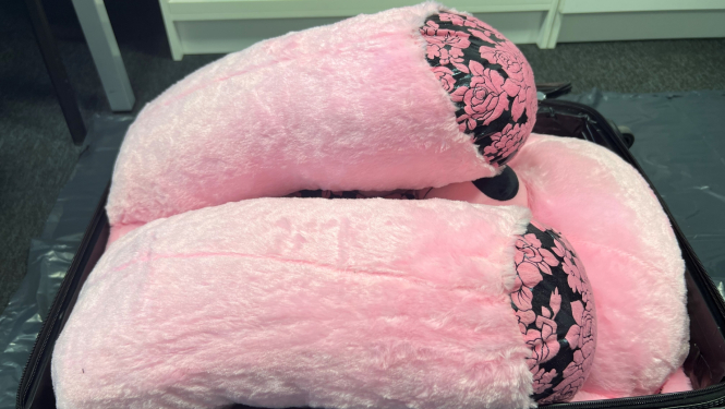 Koferī mīkstā rotaļlieta – rozā lācis 