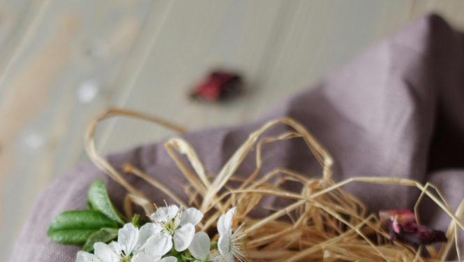 Paipalu oliņas salmu ligzdiņā