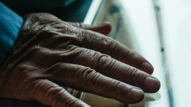 Civēka roka no augšpuses