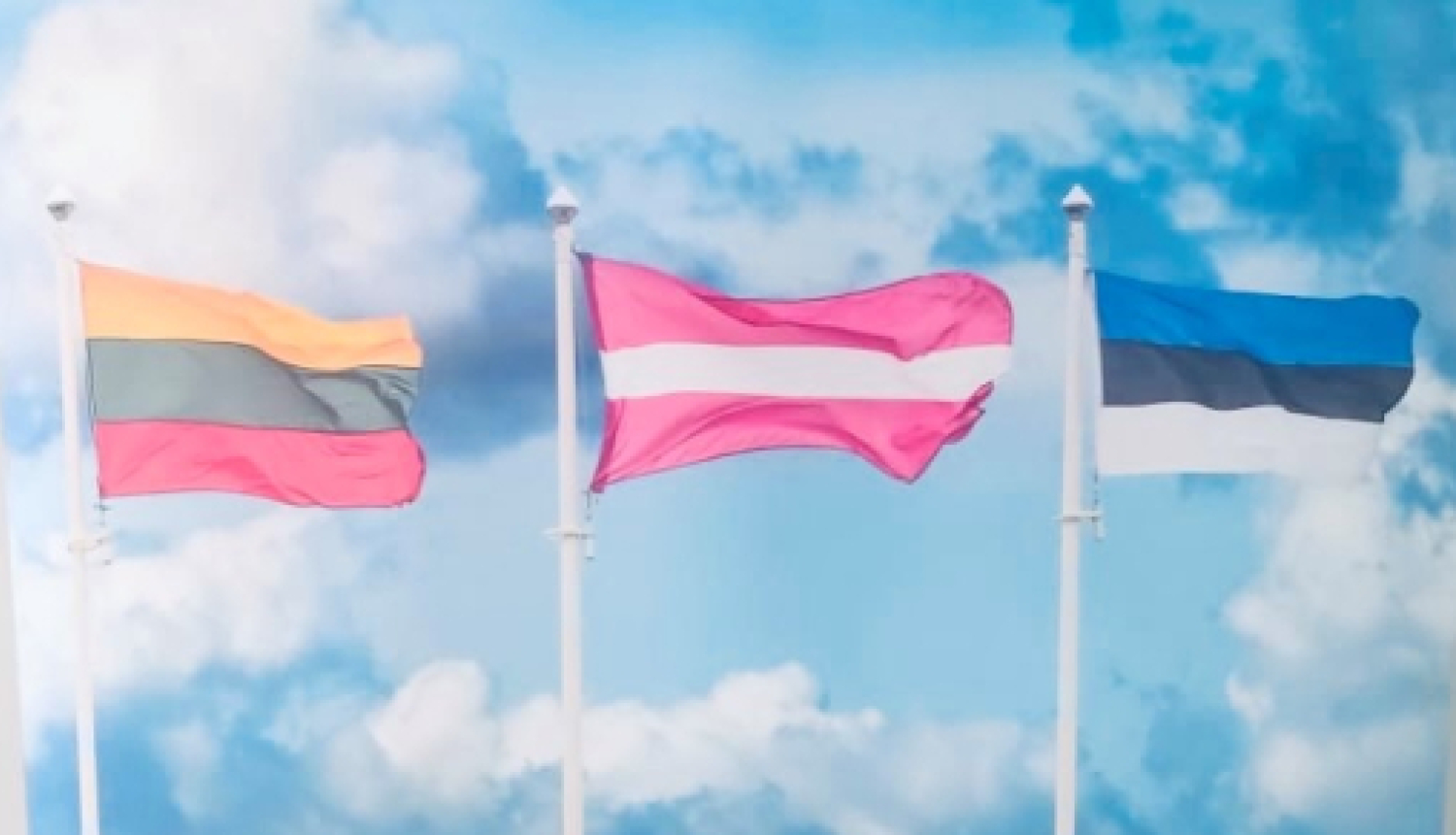 Baneris "Akcīzes noziegumu apkarošana Baltijas reģipnā"