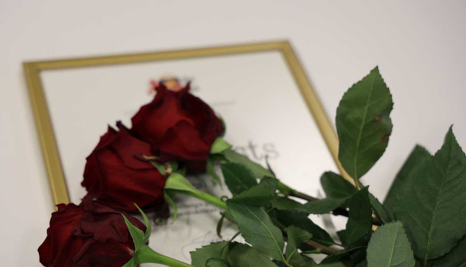 Sarkanas rozes un Finanšu ministrijas apbalvojums