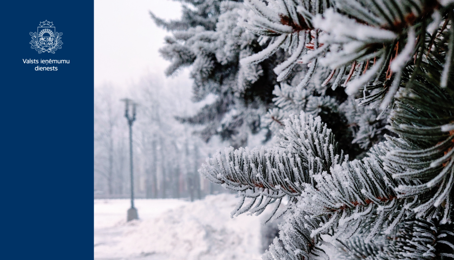 Āpsnidzis egles zars