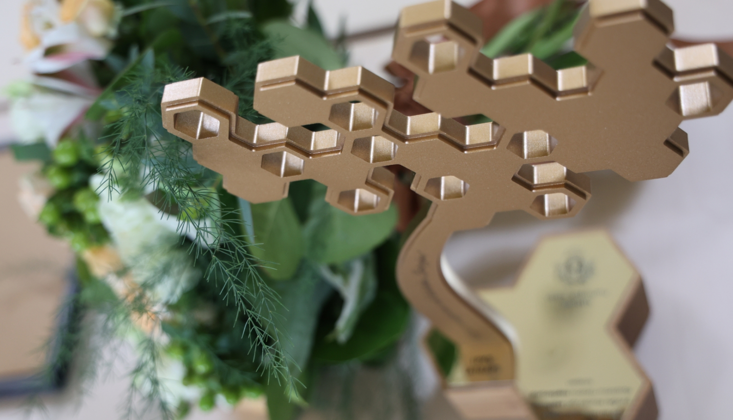 Nodokļu maksātāju gada balva