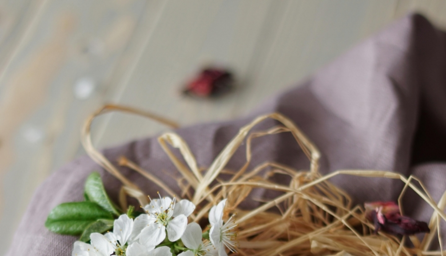 Paipalu oliņas salmu ligzdiņā