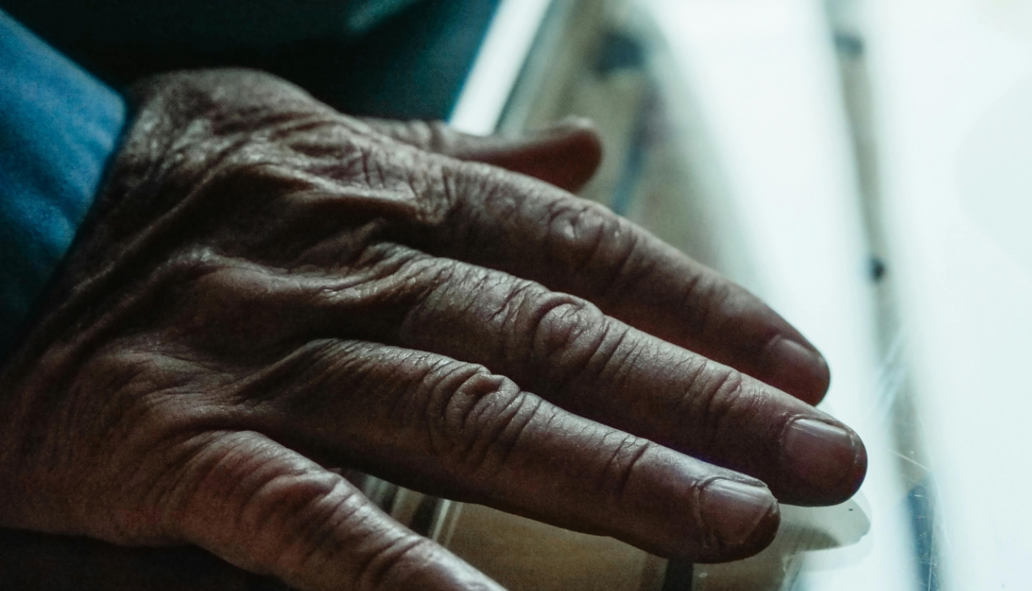 Civēka roka no augšpuses